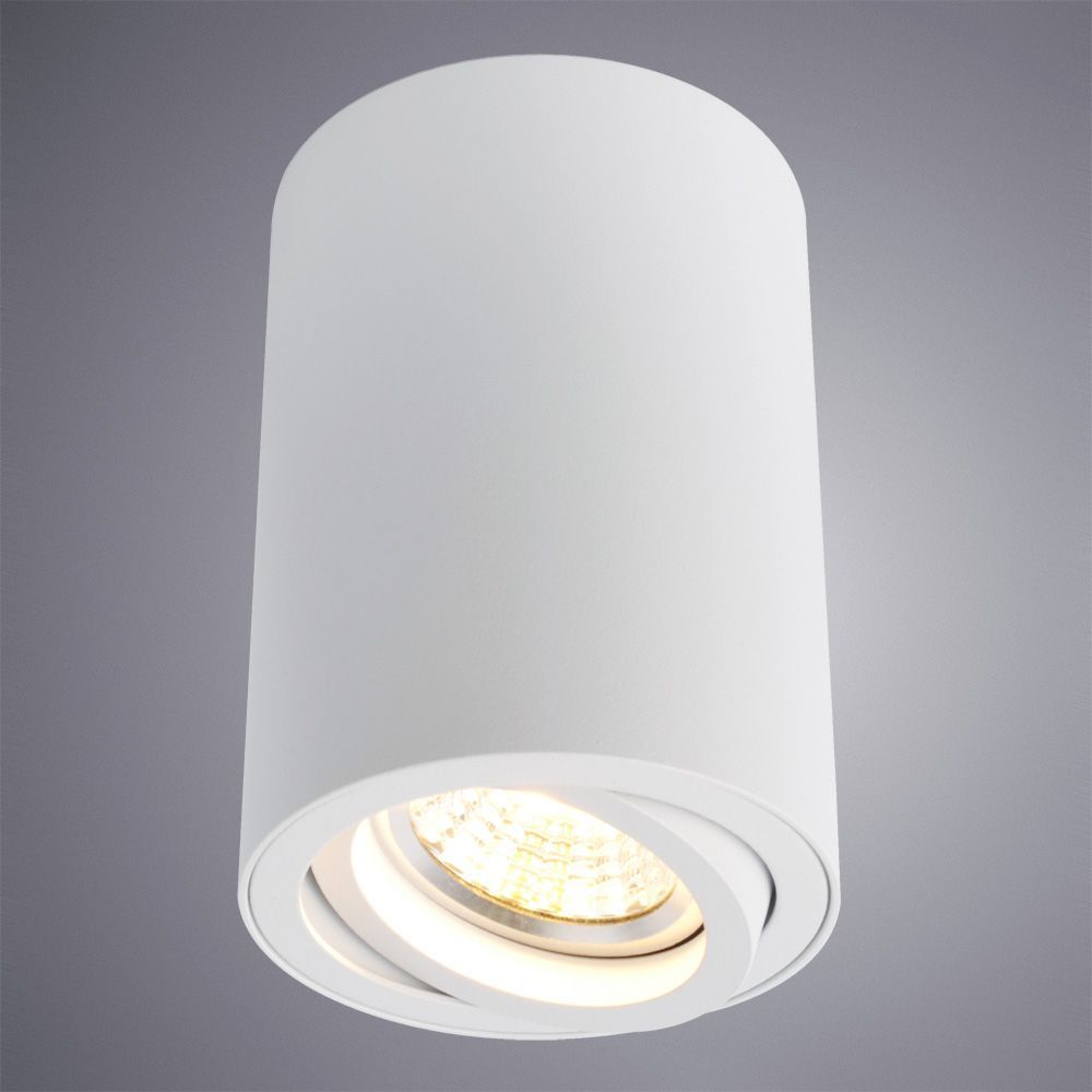 Точечный накладной светильник Arte Lamp SENTRY A1560PL-1WH