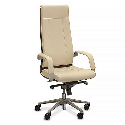 Кресло для руководителя Юнитекс Торино BM 640*660 Tr/эко/B/M/S0429/NL63 коричневая / Бежевая Savanna
